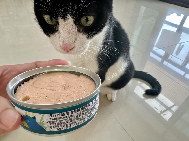 女人知己試用大隊,口碑行銷,部落客行銷,PURRFACT 波菲特貓用主食罐,主食罐,PURRFACT波菲特,貓主食罐,貓罐,PURRFACT波菲特貓用主食罐,魚肉蔓越莓主食罐,鮮嫩雞主食罐,鹿肉雞肉主食罐,牛肉鵪鶉貓主食罐,干貝蠶蛹配方,鱷魚肉白木耳配方,雞肉魚肉配方,安心鶉配方,評價,體驗,適口性佳,心得,成貓適用,高齡貓適用,質地是慕絲狀